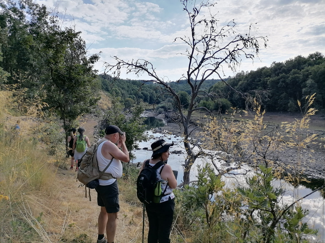 Trilho do Manego: Entre o Rio Côa e as Histórias da Raia